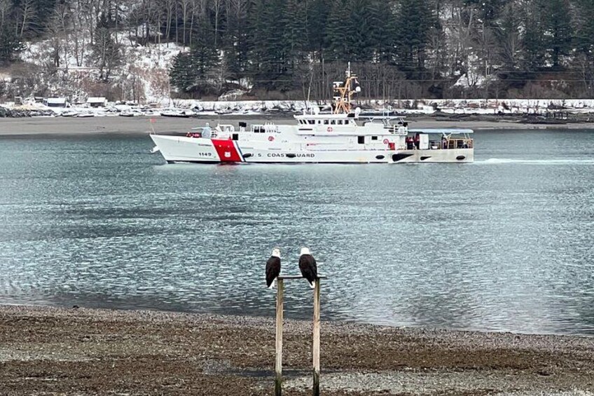 USCG and Eagles 3