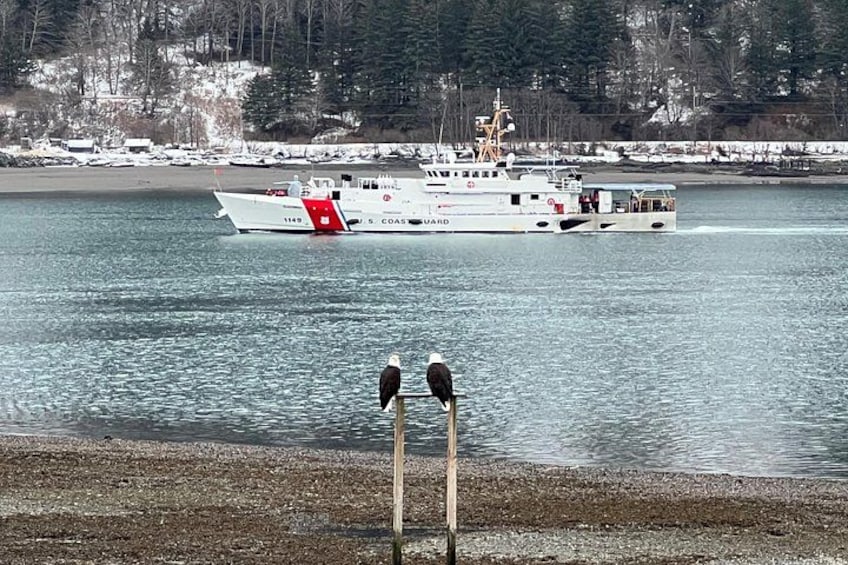 USCG and Eagles 3