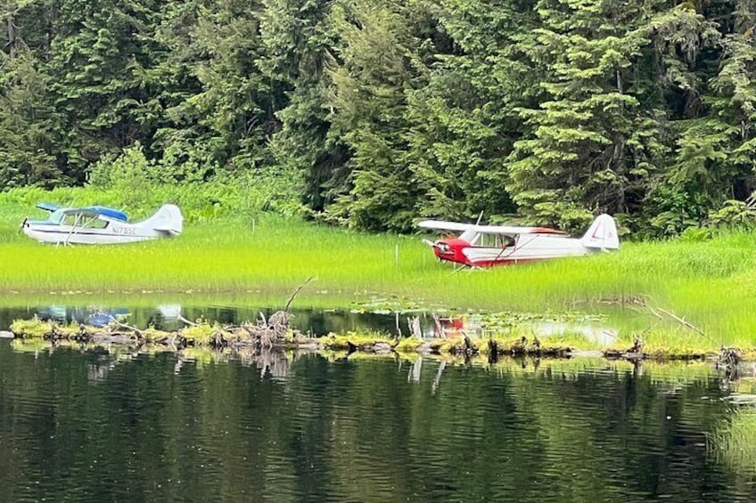 Juneau Private 3 Hour Scenic Road Trip 2