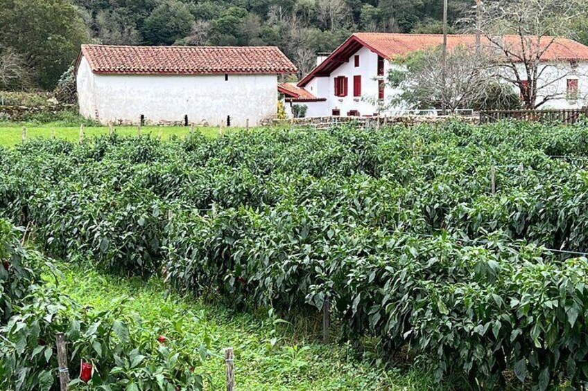 Full Day Private Basque French Countryside from San Sebastian 3