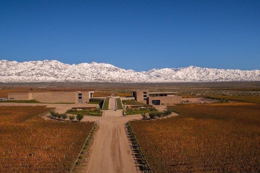 Clos of the 7 Experience. Winery Visits, Lunch & Private Transfer 4