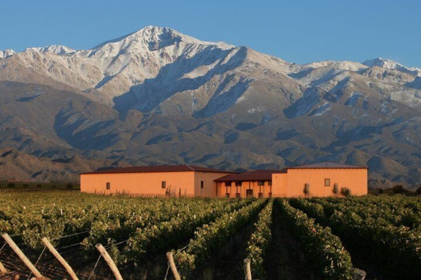 Clos of the 7 Experience. Winery Visits, Lunch & Private Transfer 5