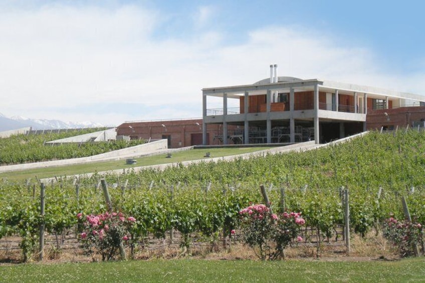 Clos of the 7 Experience. Winery Visits, Lunch & Private Transfer 3
