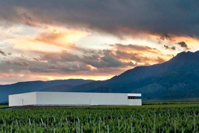 Clos of the 7 Experience. Winery Visits, Lunch & Private Transfer 2