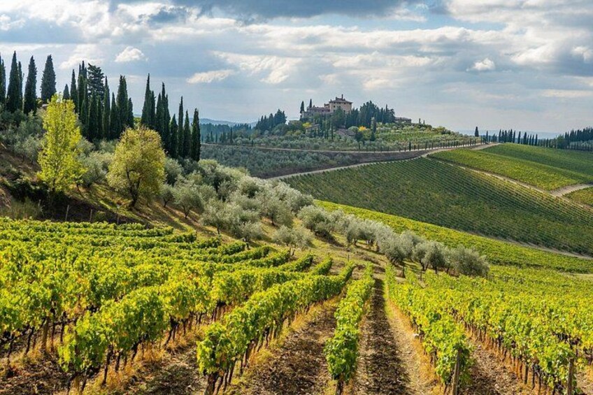 Explore Chianti's Beauty: E-Bike Tour & Wine Tasting 3