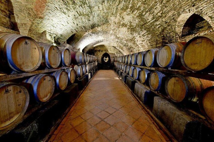Explore Chianti's Beauty: E-Bike Tour & Wine Tasting 2