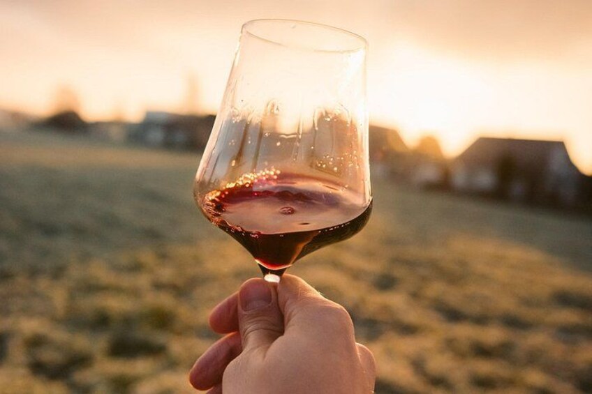 Explore Chianti's Beauty: E-Bike Tour & Wine Tasting 4