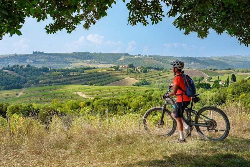 Explore Chianti's Beauty: E-Bike Tour & Wine Tasting 5