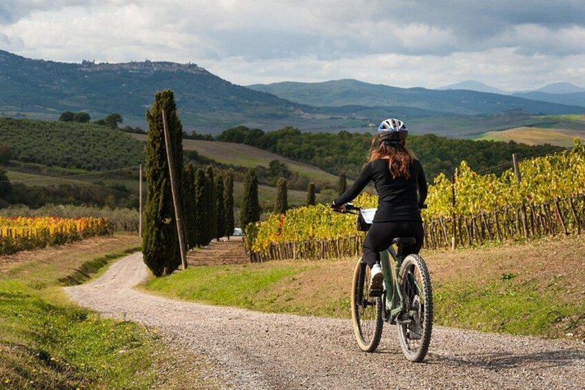 Explore Chianti's Beauty: E-Bike Tour & Wine Tasting 1