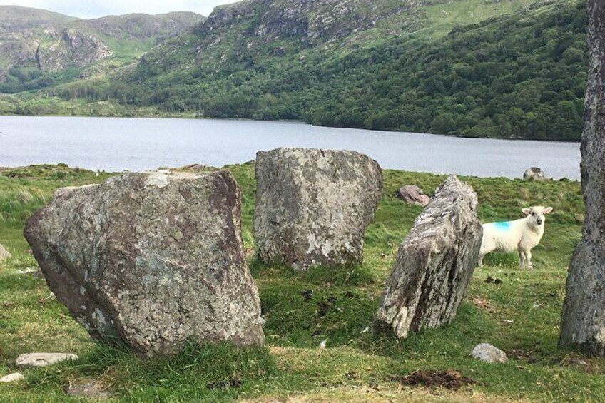 Uragh Stone Circle