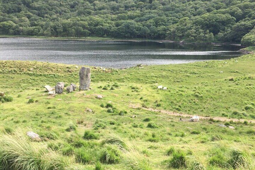 Uragh Stone Circle