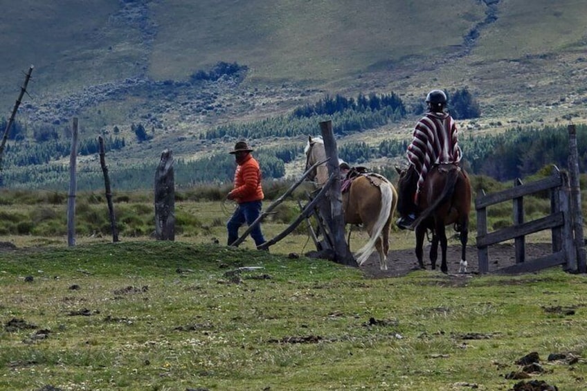 Private Cotopaxi National Park Horseback Ride hike for Beginners 2