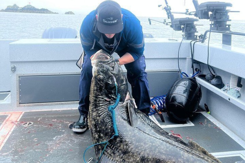 The Best Fishing Charter Excursion in Ketchikan, Alaska 4