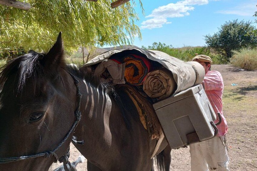 Horseback expedition to The Andes, 3 days 5