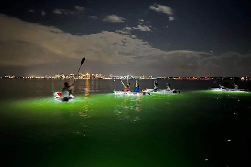 Sarasota - Clear Kayak LED Night Glass Bottom Tour 2