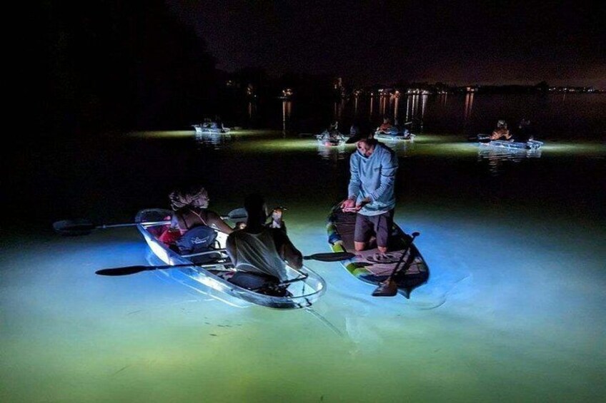 Sarasota - Clear Kayak LED Night Glass Bottom Tour 2