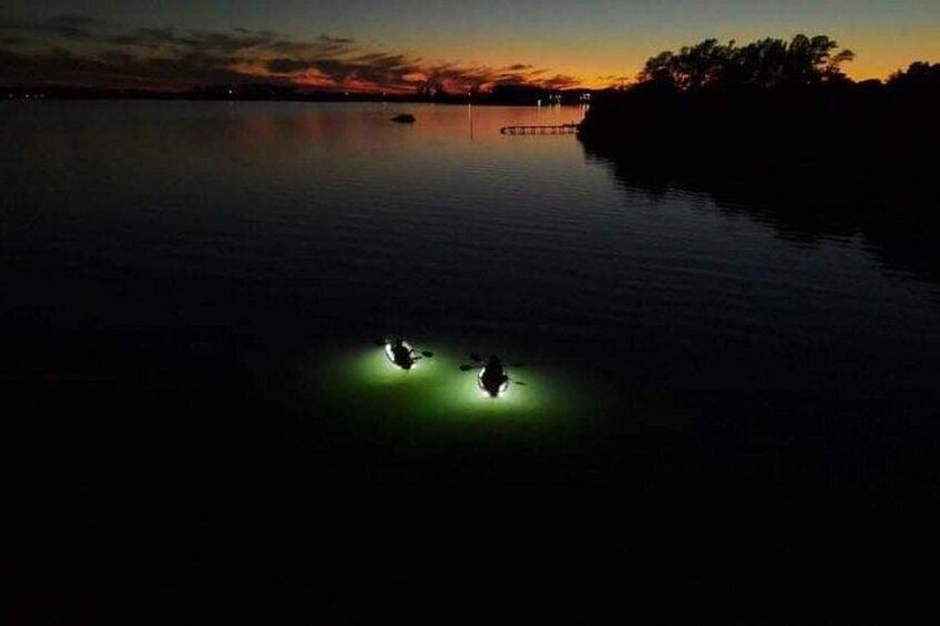 Sarasota - Clear Kayak LED Night Glass Bottom Tour 2