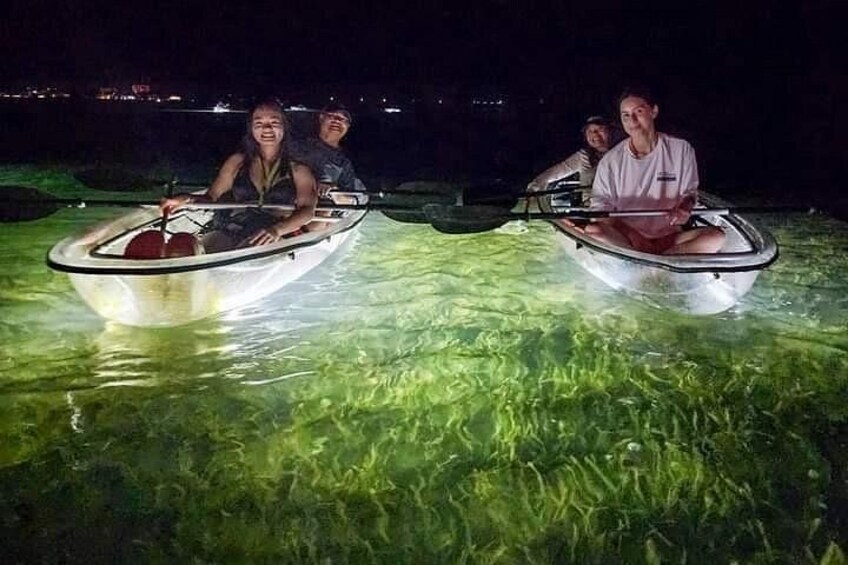 Sarasota - Clear Kayak LED Night Glass Bottom Tour 4