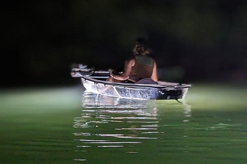 Sarasota - Clear Kayak LED Night Glass Bottom Tour 4
