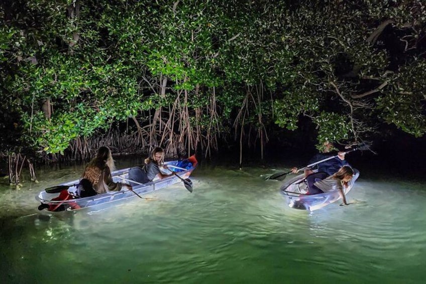 Sarasota - Clear Kayak LED Night Glass Bottom Tour 2