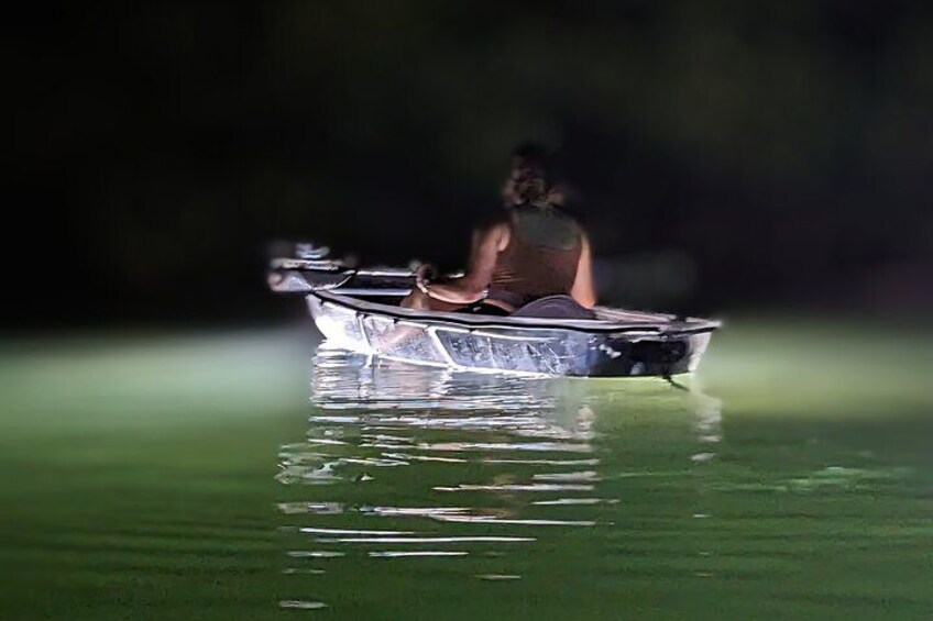 Sarasota - Clear Kayak LED Night Glass Bottom Tour 2
