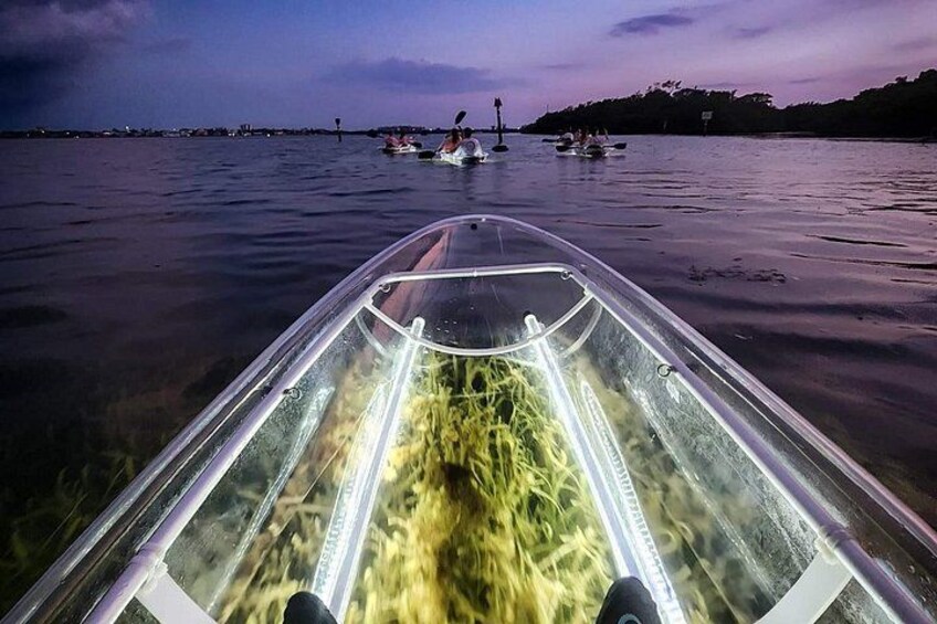 Sarasota - Clear Kayak LED Night Glass Bottom Tour 2