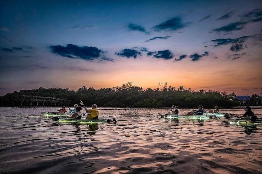 Sarasota - Clear Kayak LED Night Glass Bottom Tour 2