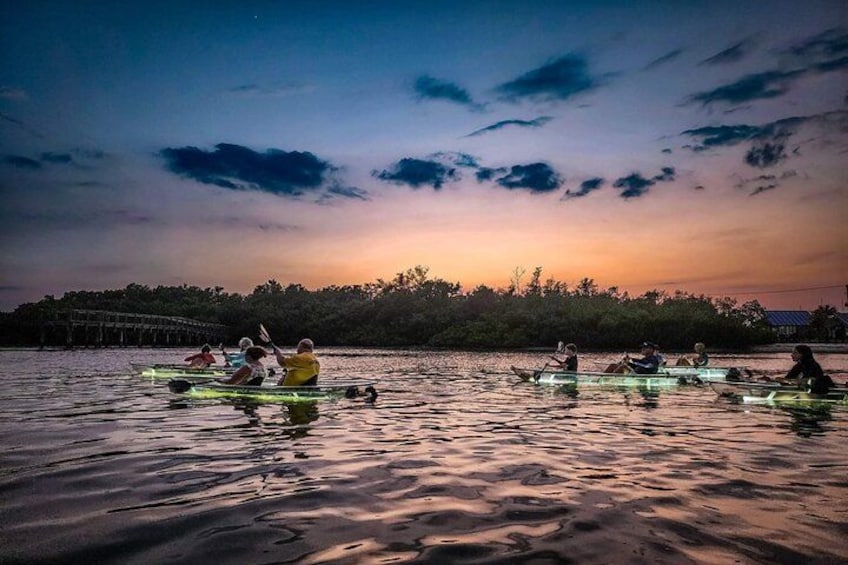 Sarasota - Clear Kayak LED Night Glass Bottom Tour 3