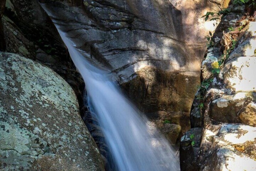 Private 4 hour Hiking Adventure in Nogalito Ecopark