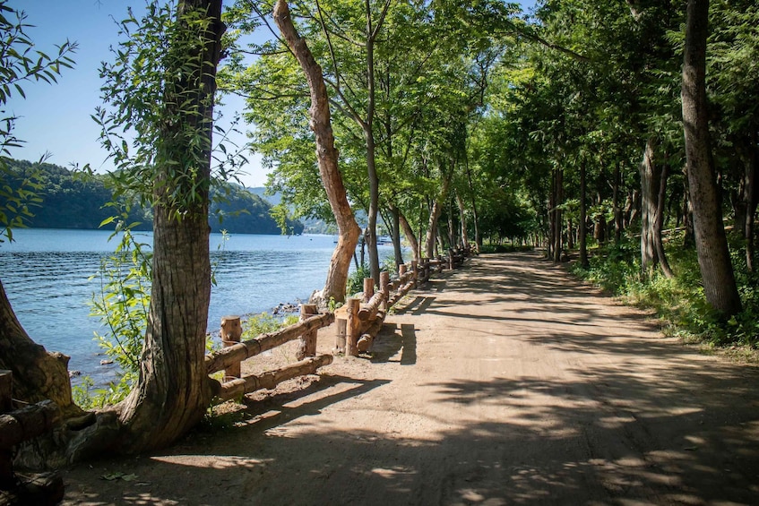 A dirt path lined with trees and a wooden fence leading to a body of water. 5