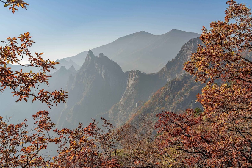 Picture 2 for Activity Seoul: Mt Seorak & Naksansa Temple or Nami Island Group Tour 3