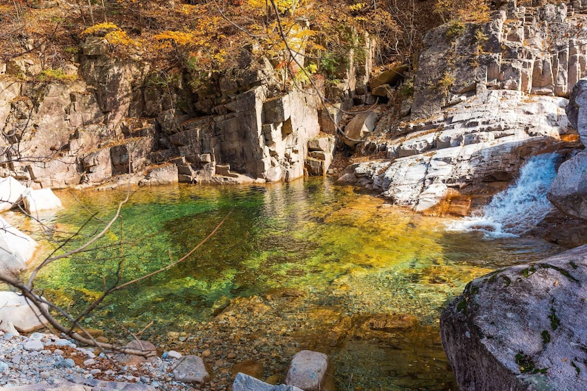 Picture 26 for Activity Seoul: Mt Seorak & Naksansa Temple or Nami Island Group Tour 5