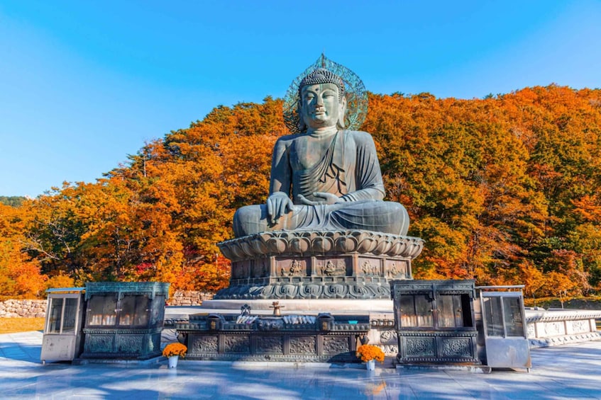 Seoul: Mt Seorak & Naksansa Temple or Nami Island Group Tour 1
