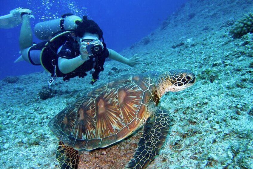 Scuba Diving Experience in Alanya With Lunch and 2 Dives