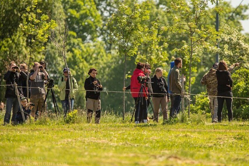 A group of people standing in a grassy field with trees in the background. 3