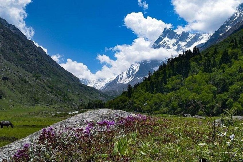 A mountain landscape with a river, green fields, and snow-capped peaks. 1