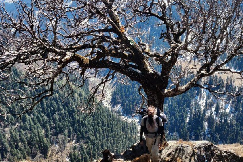 Har Ki dun Trek by Himalaya Shelter 2