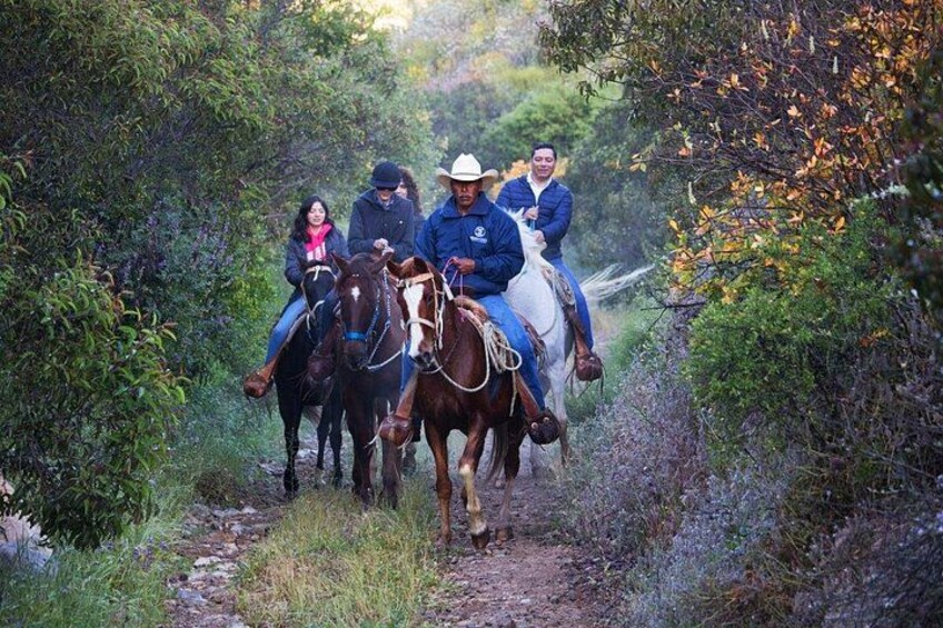 Mounted Guide on Mountain Echo Canyon Route 3