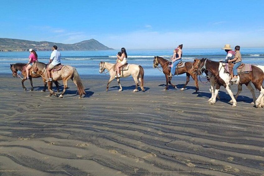 Private Shore Excursion: Beach or Canyon Horseback + Bufadora opt 3