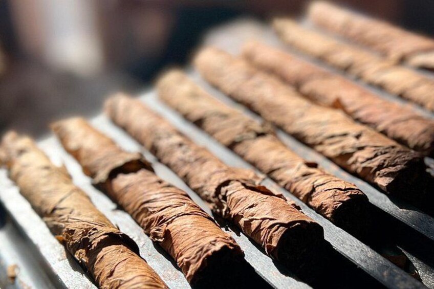 Roll Your Own Cigar in Miami 3