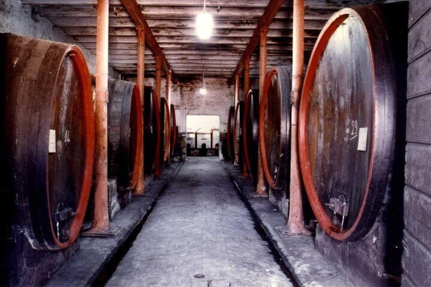 A row of large wooden barrels in a dimly lit room with a concrete floor. 1