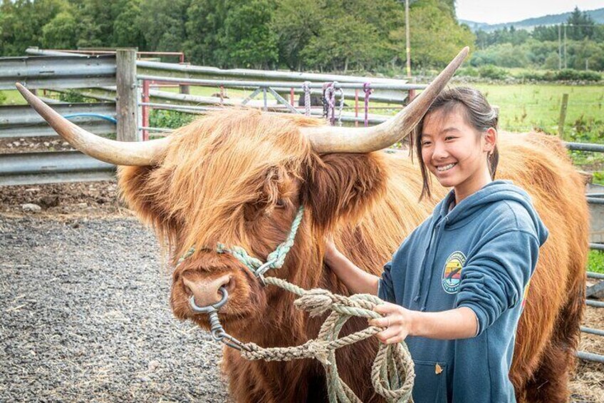 Una persona de pie junto a un yak grande con cuernos largos, vistiendo una chaqueta azul con un logo. 5