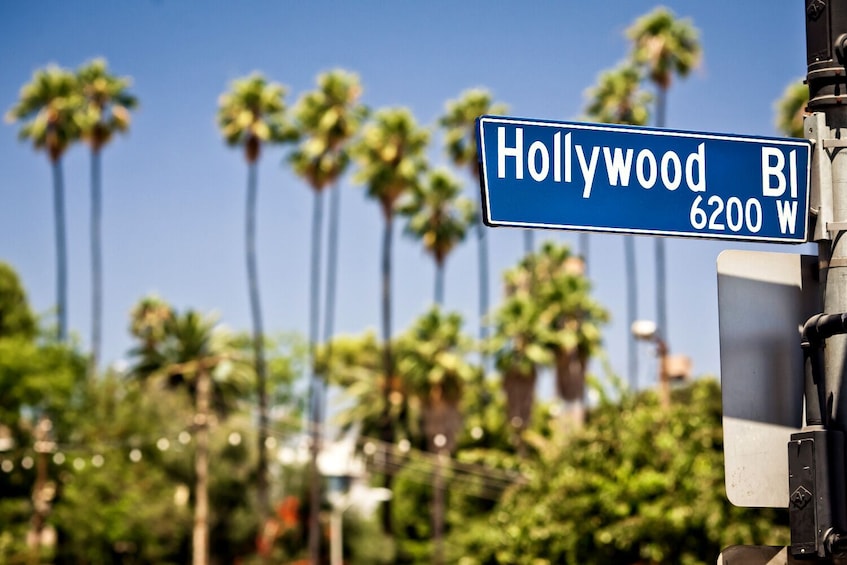 Ein Straßenschild für den Hollywood Boulevard, im Hintergrund Palmen. 1