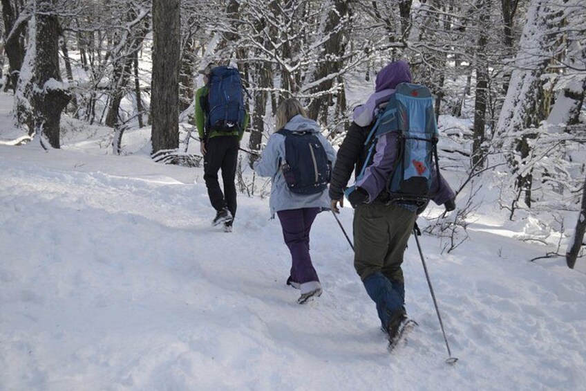 Snow excursion in Bariloche - Suitable for the whole family 5