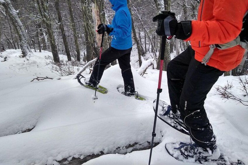 Snow excursion in Bariloche - Suitable for the whole family 2