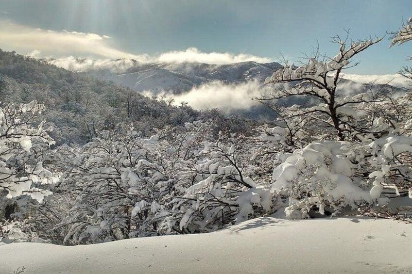 Snow excursion in Bariloche - Suitable for the whole family 4