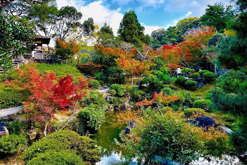 A Japanese garden with a pond, various trees, and a small building. 4
