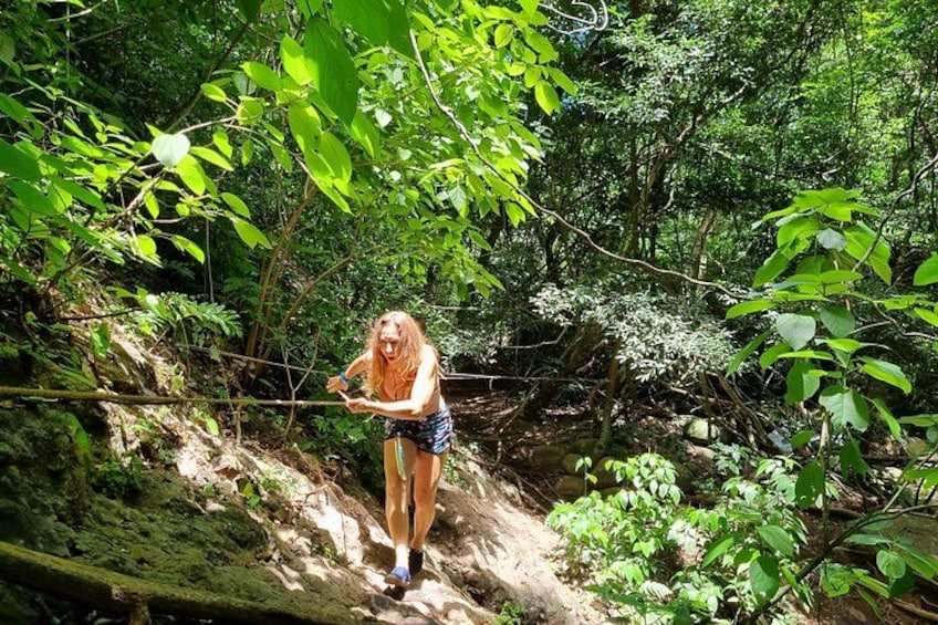 A person hiking on a forest trail. 3