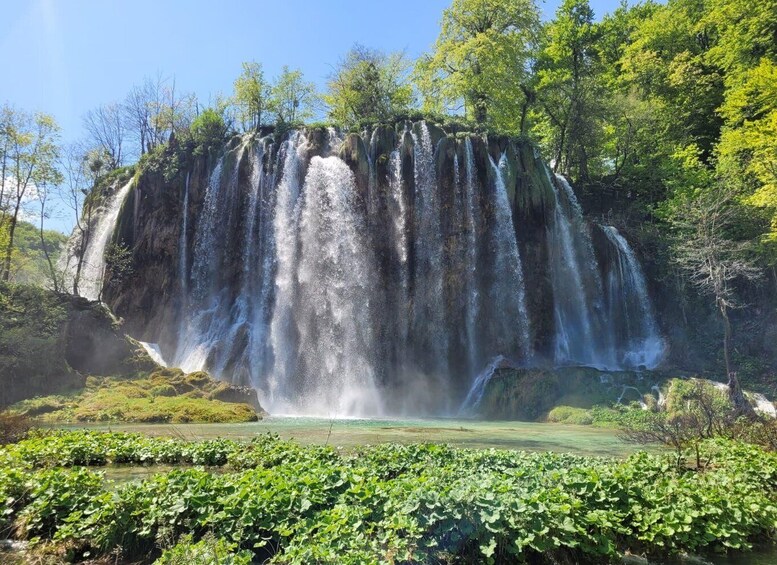 Una cascada que s'aboca d'un penya-segat a un estany envoltat de vegetació exuberant. 5