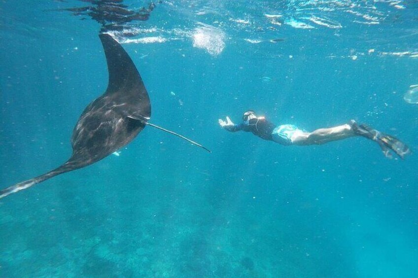 Manta Bay Snorkeling